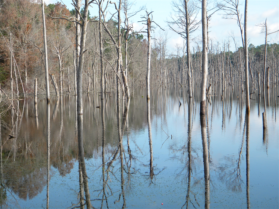 Lake1.jpg